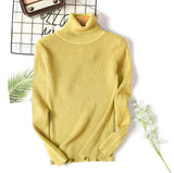 Women’s Turtleneck Color Block Knitted Pullover Sweater
