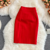 Elegant Women’s High-Waist Skirt