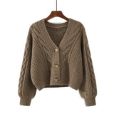 Women’s Autumn Winter Short High Waist Cardigan