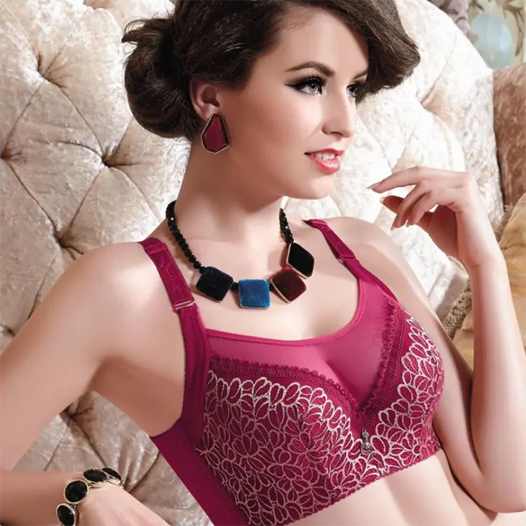 Luxury Lace Bra Plus Size Underwear Adjustable Strap Padded Cup Underwire Bra Women Embroidery Deep Cup Minimizing Bra