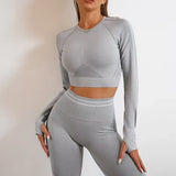 Hot Selling Breathable Yoga Fitness Shirts and Tops Running Gym Athletic Seamless Yoga Push Up Leggings Yoga Wear Crop Tops
