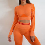 Hot Selling Breathable Yoga Fitness Shirts and Tops Running Gym Athletic Seamless Yoga Push Up Leggings Yoga Wear Crop Tops
