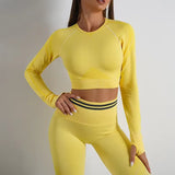 Hot Selling Breathable Yoga Fitness Shirts and Tops Running Gym Athletic Seamless Yoga Push Up Leggings Yoga Wear Crop Tops