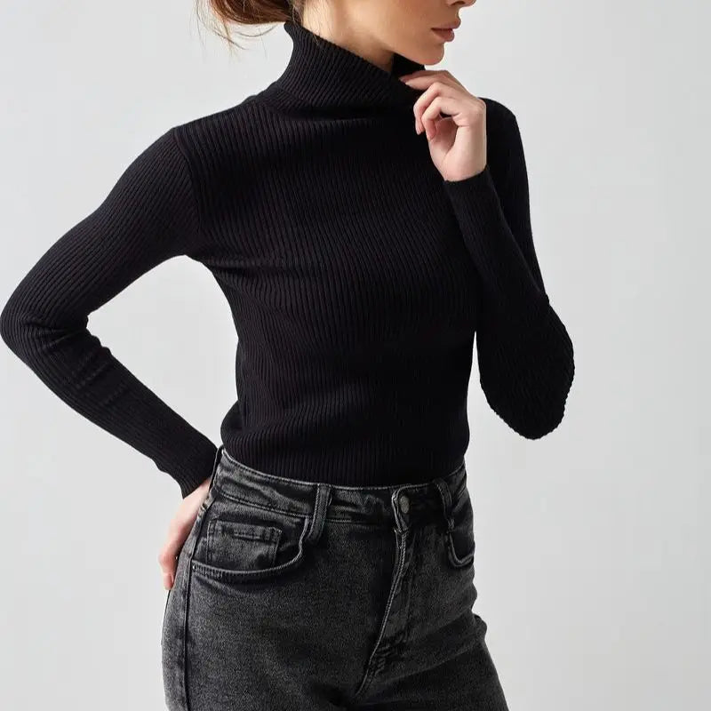 Basic Turtleneck Knitted Sweater