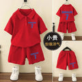 Fashionable Summer 2-Piece Clothing Set for Boys (Top + Shorts)