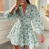 Women’s Floral Print Mini Dress