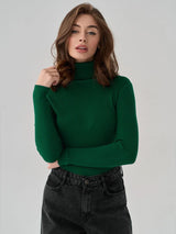 Basic Turtleneck Knitted Sweater