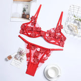 Transparent Floral Underwear Set