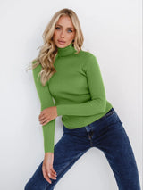 Basic Turtleneck Knitted Sweater