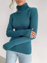 Basic Turtleneck Knitted Sweater
