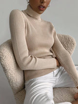 Basic Turtleneck Knitted Sweater