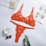 Transparent Floral Underwear Set