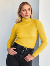 Basic Turtleneck Knitted Sweater